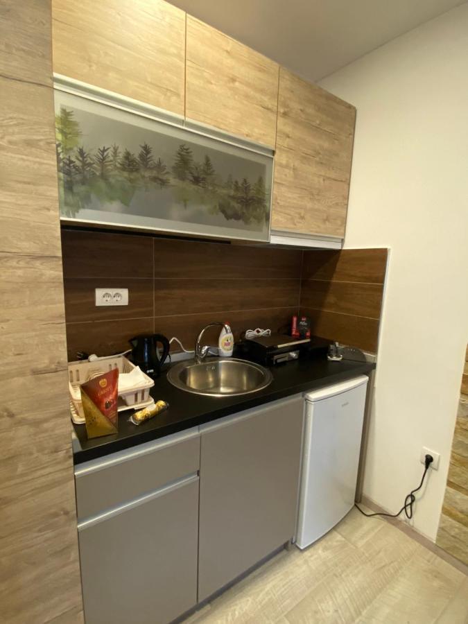 Kopaonik Apartmani Milmari - Katic Extérieur photo
